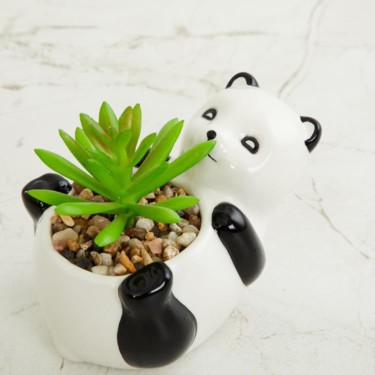 Garnet Elsa Artificial Succulent in Panda Planter