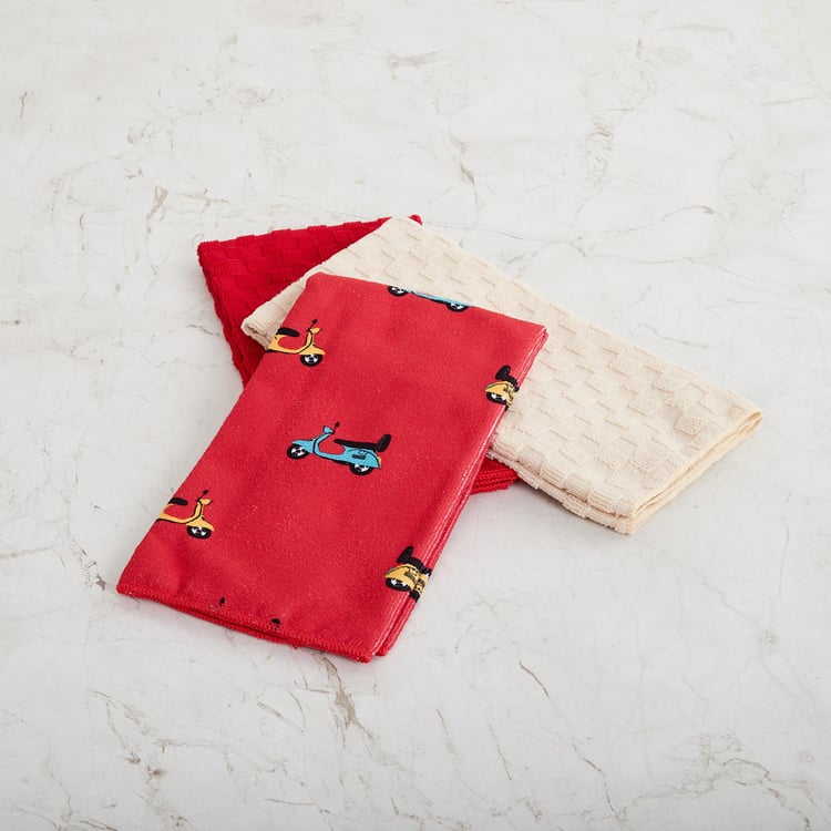 Raisa Dish Cloth Set - Set Of 3