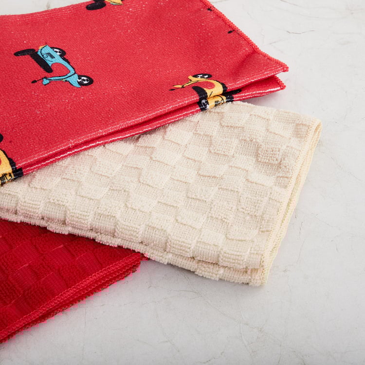 Raisa Dish Cloth Set - Set Of 3