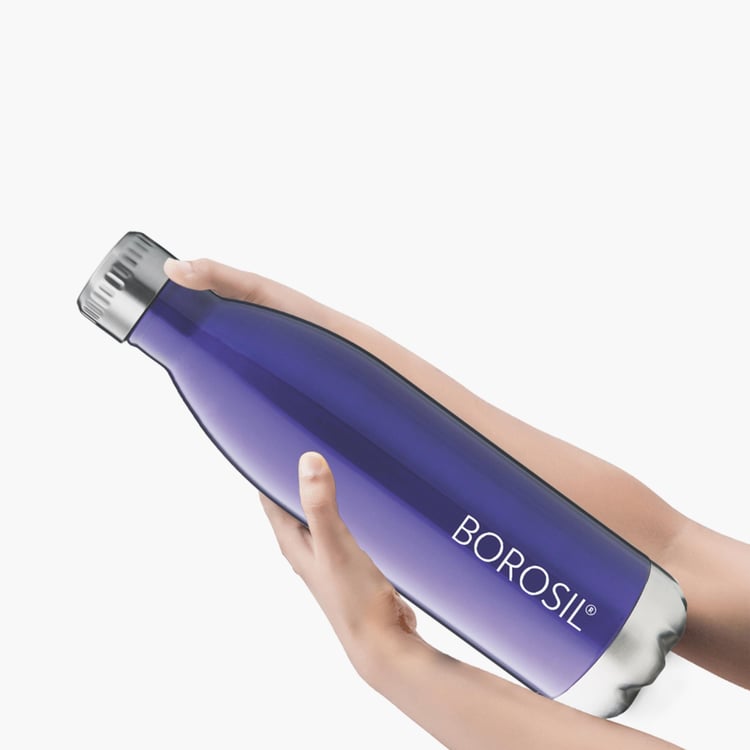 BOROSIL Trans Flask - 500ml