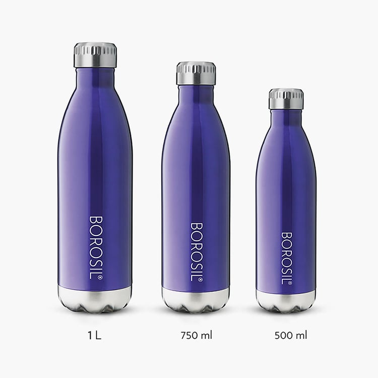 BOROSIL Trans Flask - 500ml