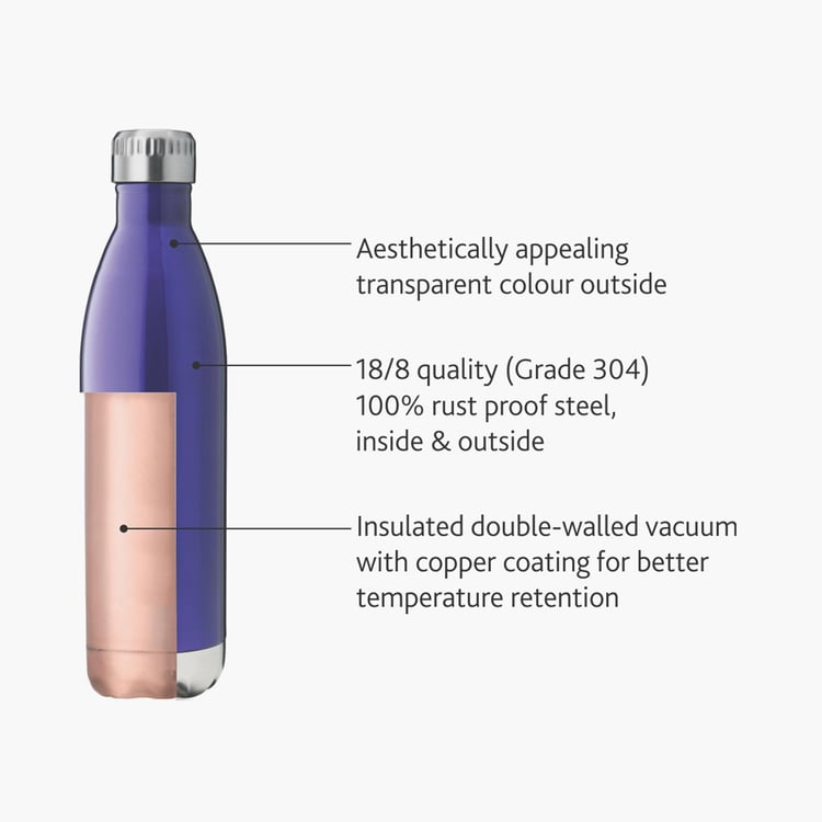 BOROSIL Trans Flask - 500ml