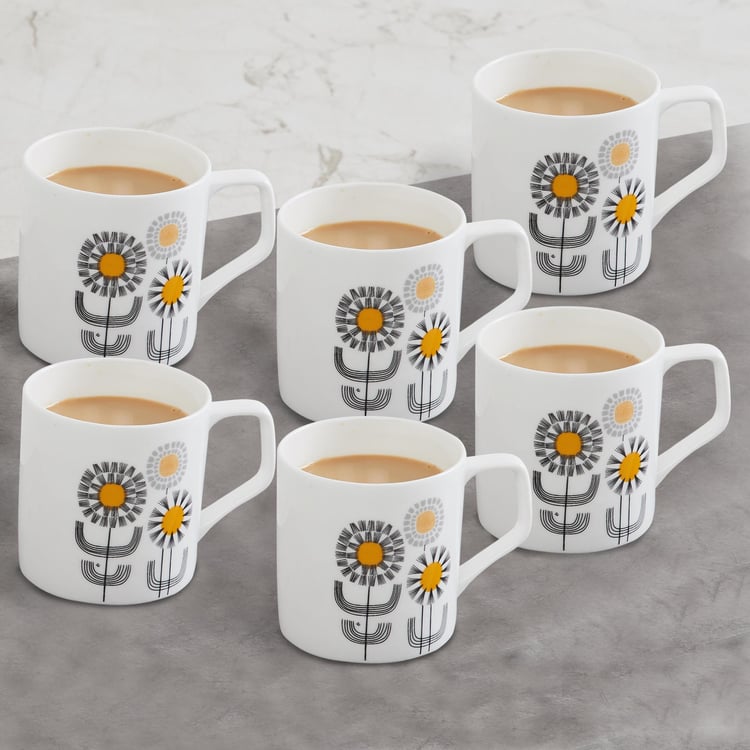 Mandarin Urban Chic Coffee Mug - Set Of 6 - 230 ML