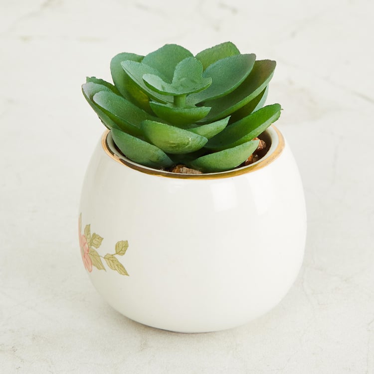 The Royal - White Printed Ceramic Small Planter with Succulent