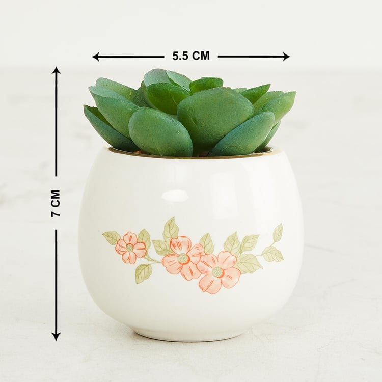 The Royal - White Printed Ceramic Small Planter with Succulent