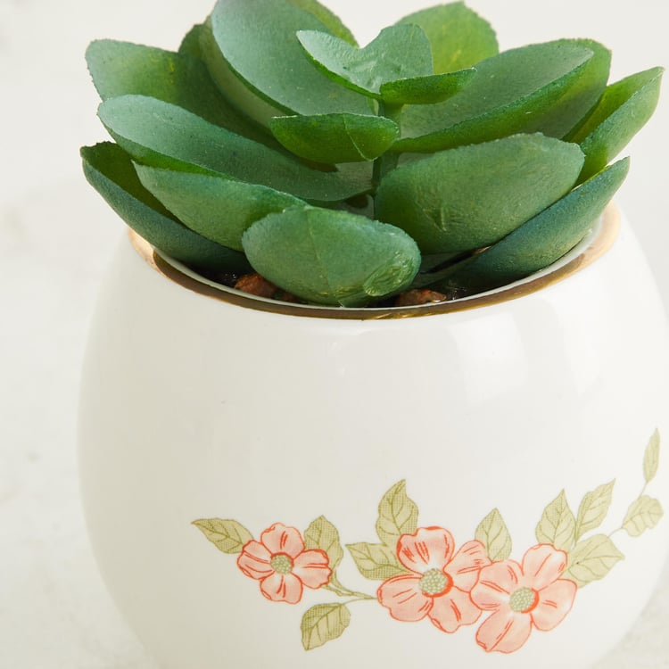 The Royal - White Printed Ceramic Small Planter with Succulent