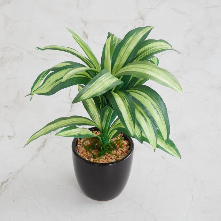 Fiesta Green Artificial Dracaena Plant