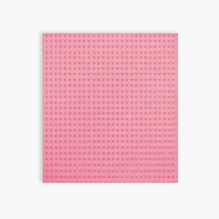 SPOTZERO BY MILTON Multicolour Textured Sponge Wipe - Set of 3