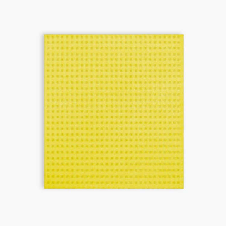 SPOTZERO BY MILTON Multicolour Textured Sponge Wipe - Set of 3