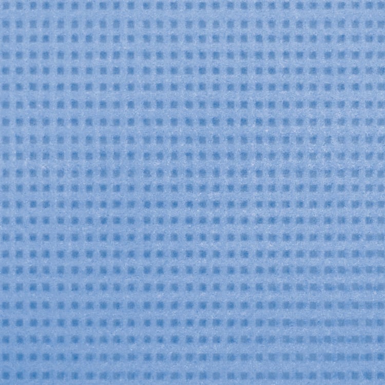 SPOTZERO BY MILTON Multicolour Textured Sponge Wipe - Set of 3