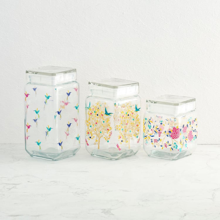 Hope-Orson Transparent Glass Storage Container Set With Decal - 3Pcs