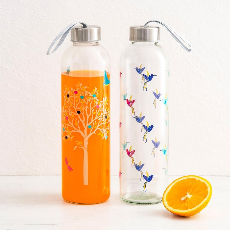 Orson Printed Glass Bottle - 740ml - Set of 2