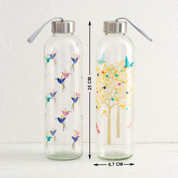 Orson Printed Glass Bottle - 740ml - Set of 2