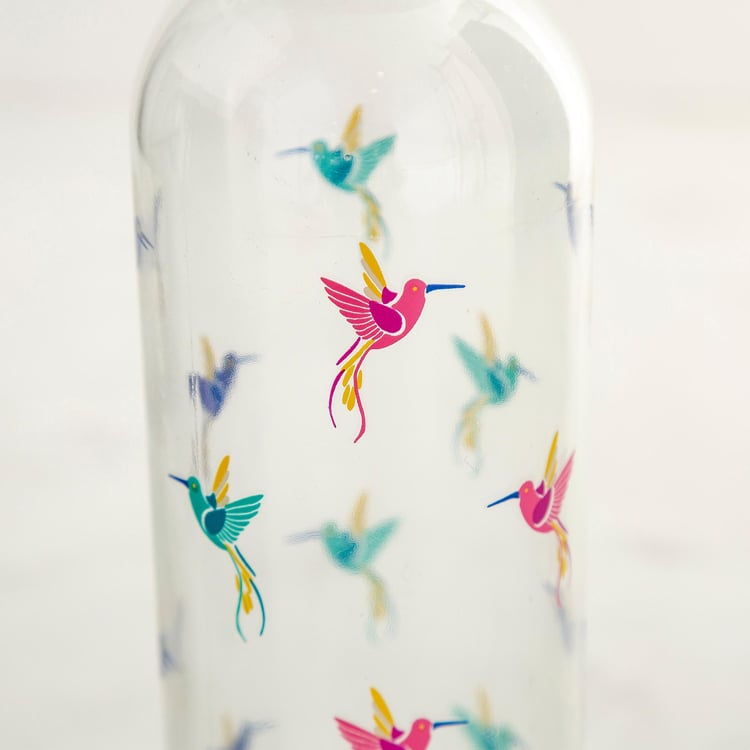 Orson Printed Glass Bottle - 740ml - Set of 2