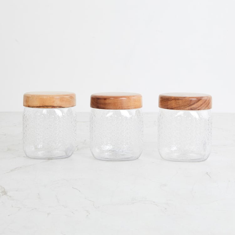 Corsica Elfin Set of 3 Wooden Lid Pet Jars - 650ml