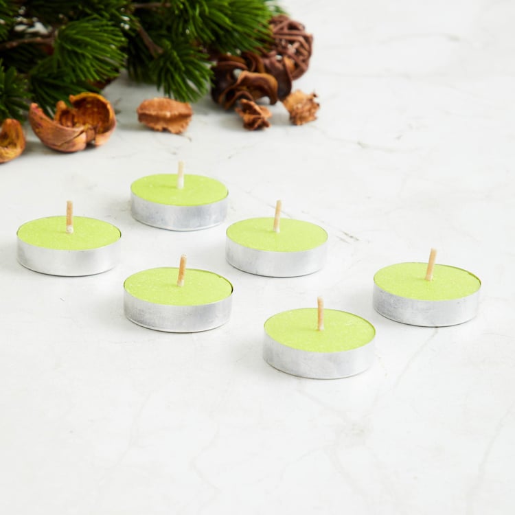 Gardenia Set of 6 Citronella Scented T-Light Candles