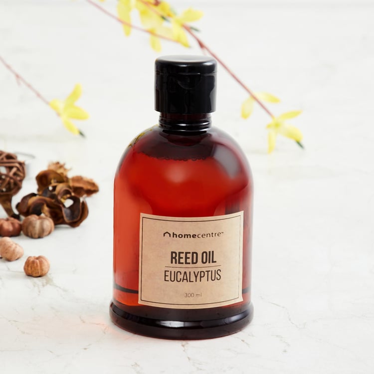 Carrey Eucalyptus Reed Oil - 300ml