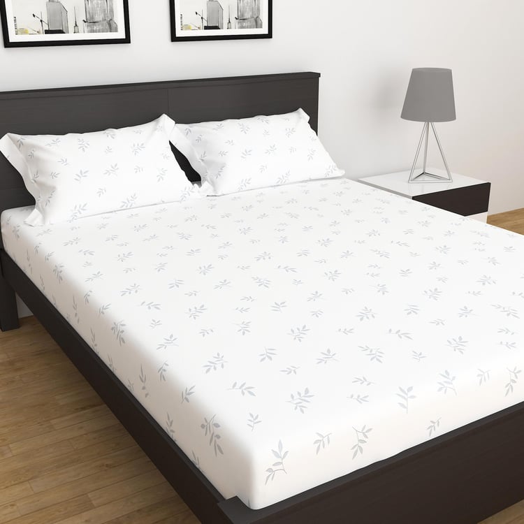 Sapphire Cotton 250TC 3Pcs Printed Fitted King Bedsheet Set - Styles May Vary
