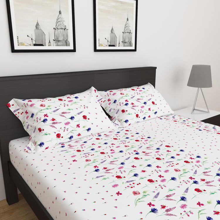Sapphire Cotton 250TC 3Pcs Printed Fitted King Bedsheet Set - Styles May Vary