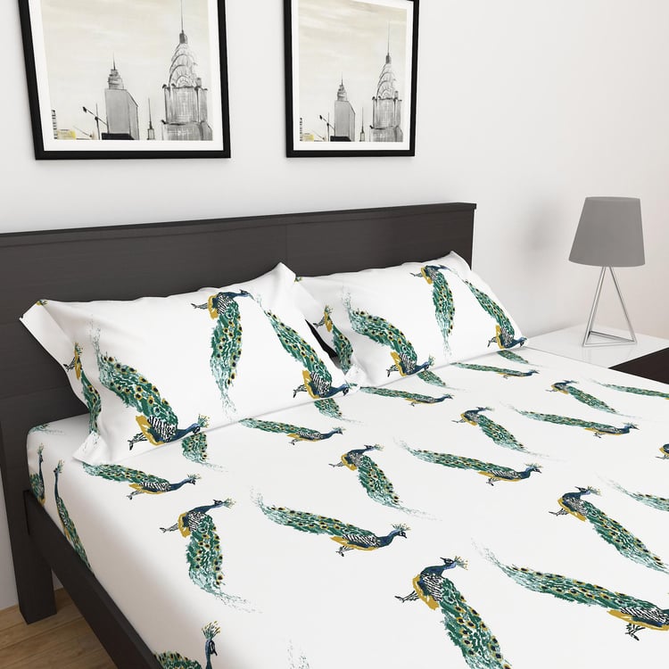 Sapphire Cotton 250TC 3Pcs Printed Fitted King Bedsheet Set - Styles May Vary