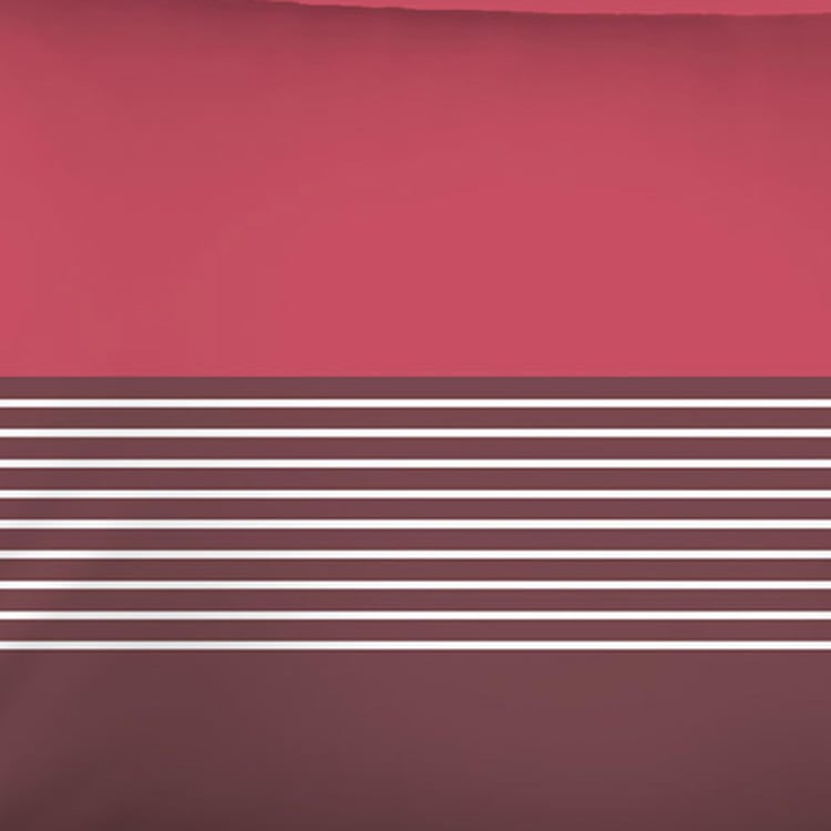 BOUTIQUE LIVING Erica Pink Printed Cotton Double Bedsheet Set - 3 Pcs