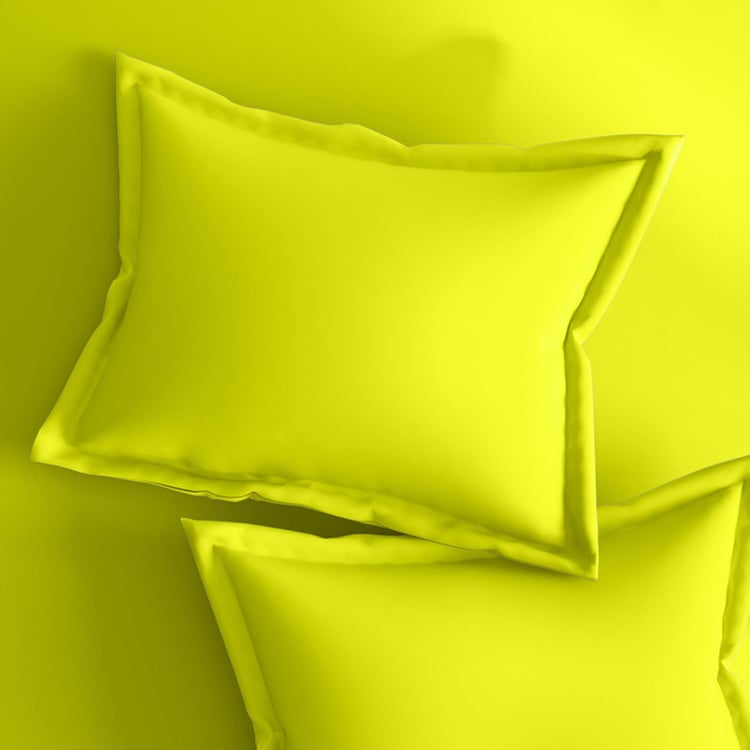 PORTICO Shades Yellow Solid Cotton Queen Bedsheet Set - 224x254cm - 3Pcs