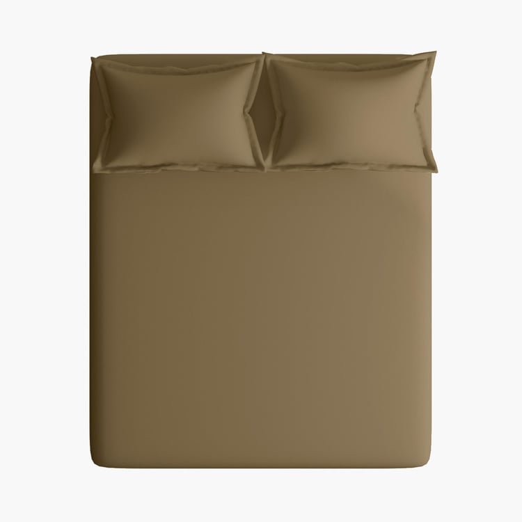 PORTICO Shades Brown Solid Cotton Super King Bedsheet Set - 224x254cm - 3Pcs