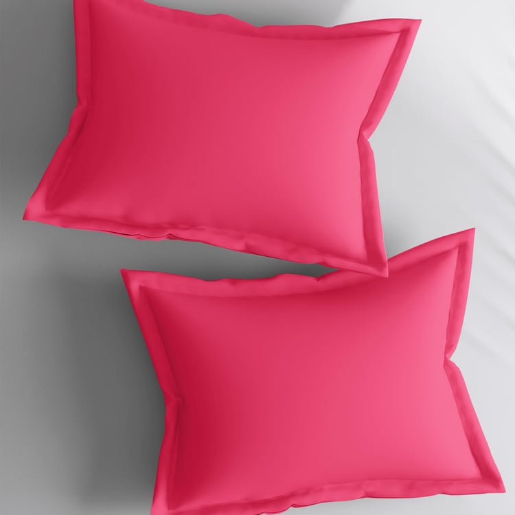 PORTICO Shades Pink Solid Cotton Pillow Cover - 46x69cm - Set of 2