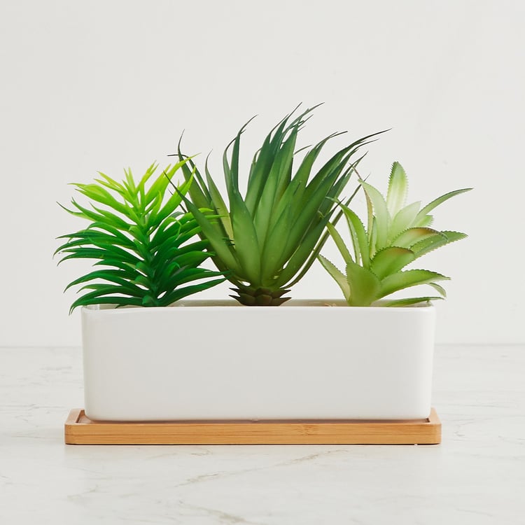 Fiesta Artificial Plants in Pot