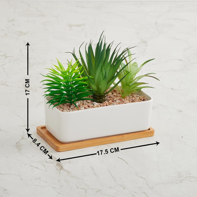 Fiesta Artificial Plants in Pot