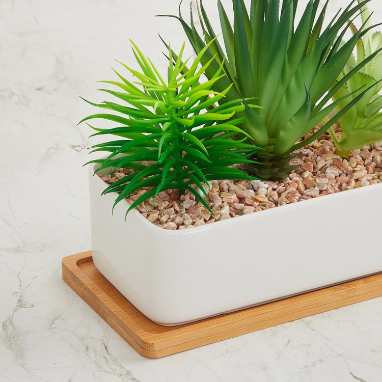 Fiesta Artificial Plants in Pot