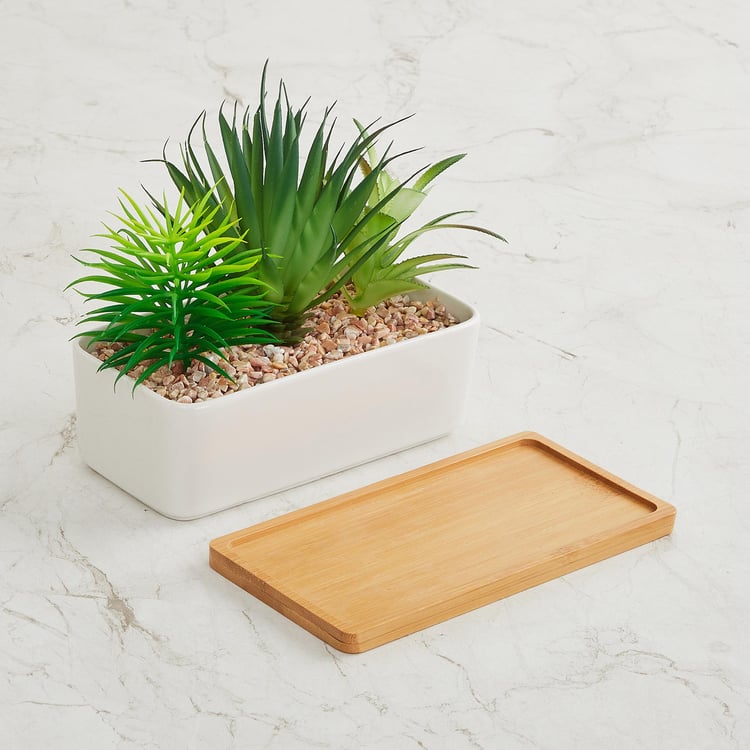 Fiesta Artificial Plants in Pot