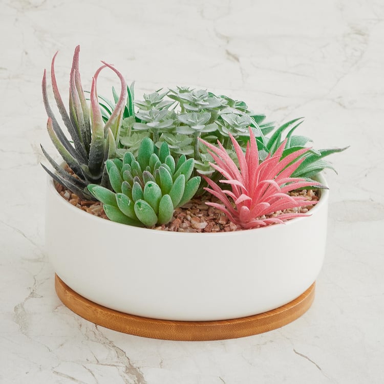 Fiesta Artificial Succulent in Pot
