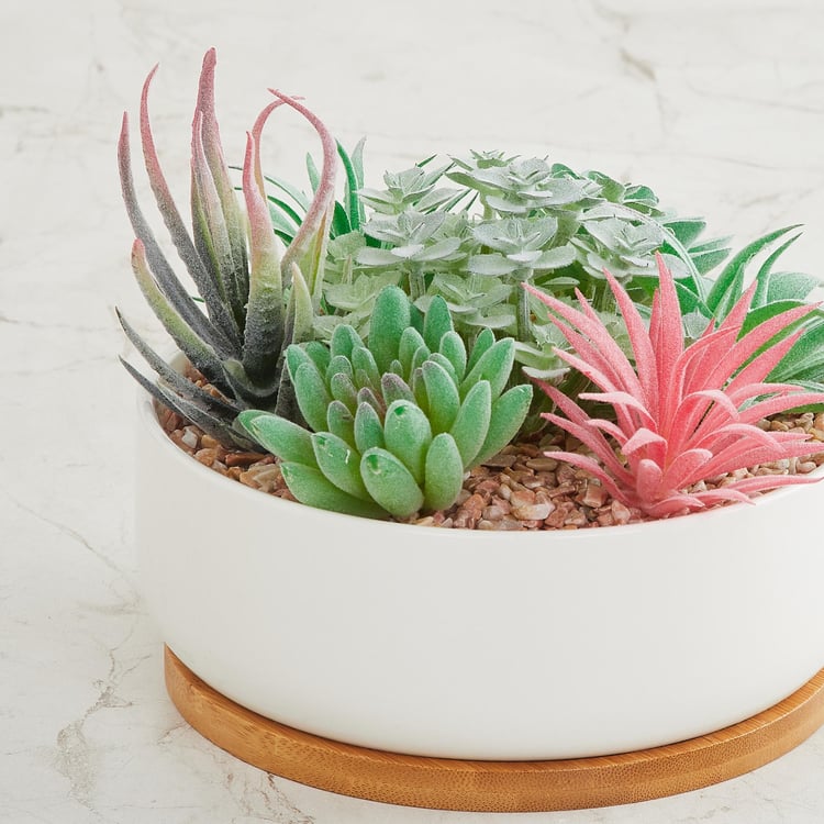 Fiesta Artificial Succulent in Pot