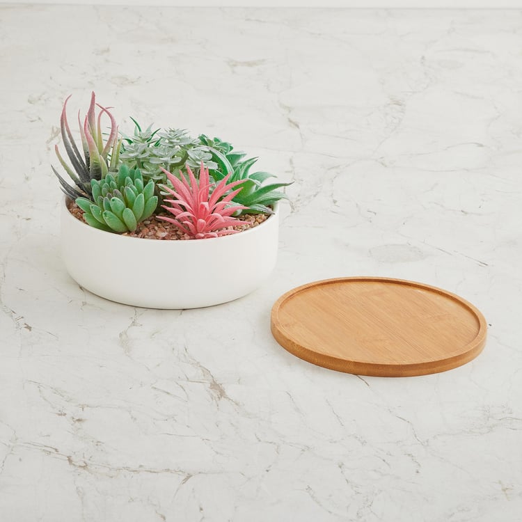 Fiesta Artificial Succulent in Pot