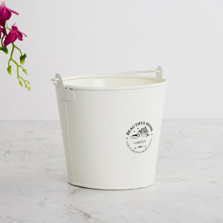 Beautiful Home Metal Bucket Planter