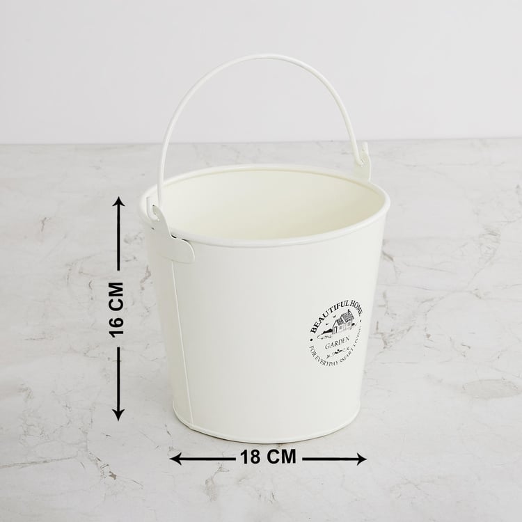 Beautiful Home Metal Bucket Planter