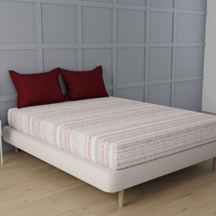 TRIDENT Classic Multicolour Cotton Printed Super King Bedsheet Set - 274x274cm - 3Pcs