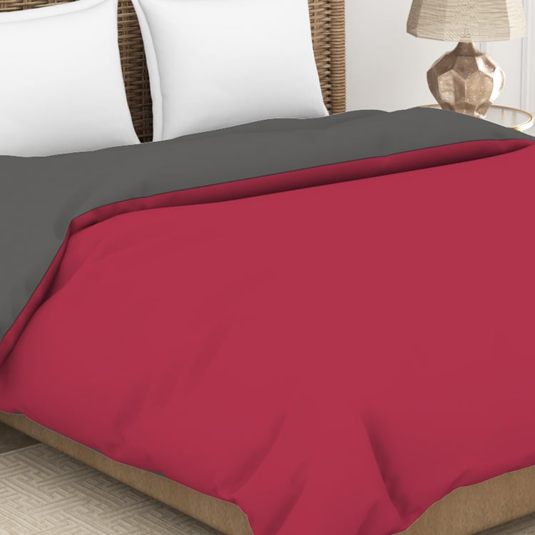 SPACES Essentials Red Solid Cotton King Size Bed Quilt - 224x270cm