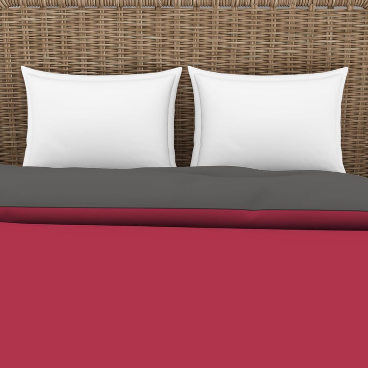 SPACES Essentials Red Solid Cotton King Size Bed Quilt - 224x270cm