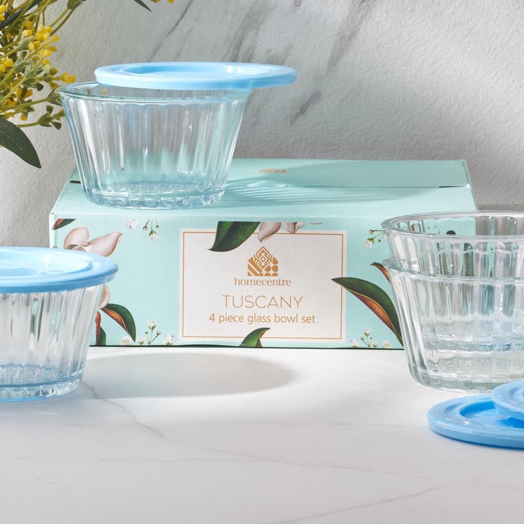 Spinel Fierie Transparent Solid Glass Bowls With Lid - Set of 4 - 200ml