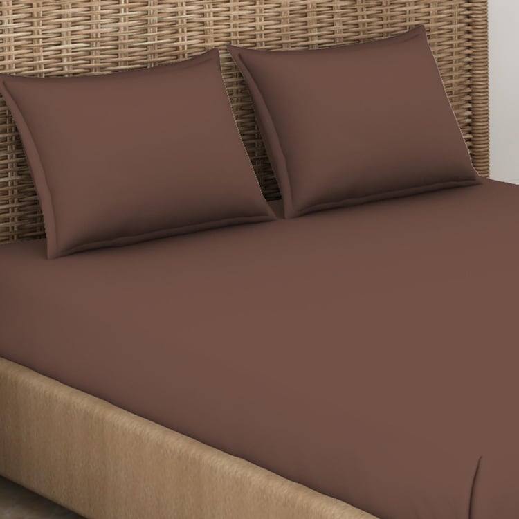 SPACES Essentials Brown Solid Cotton Super King Bedsheet Set - 274x274cm - 3Pcs