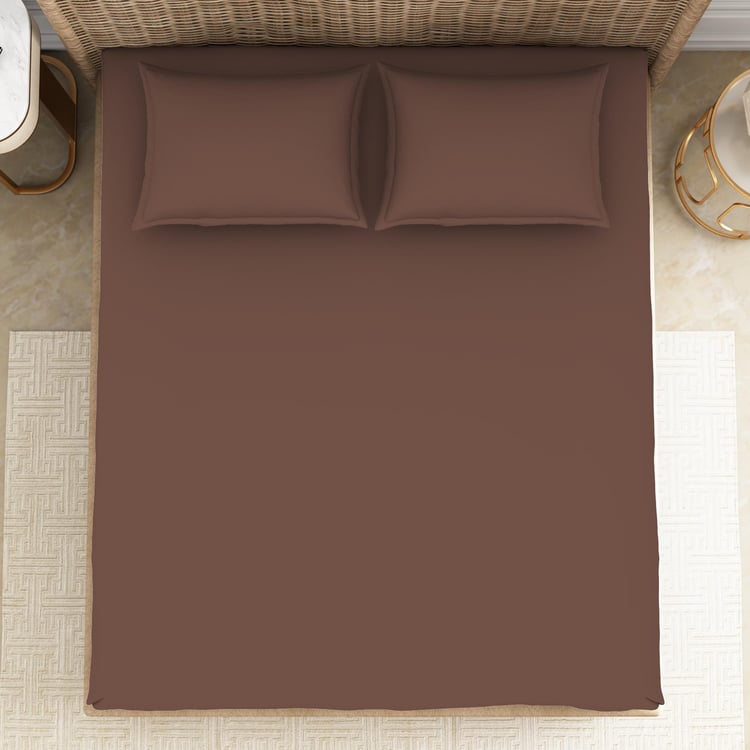 SPACES Essentials Brown Solid Cotton Super King Bedsheet Set - 274x274cm - 3Pcs