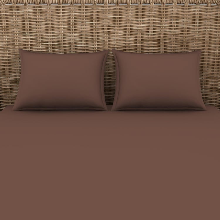 SPACES Essentials Brown Solid Cotton Super King Bedsheet Set - 274x274cm - 3Pcs