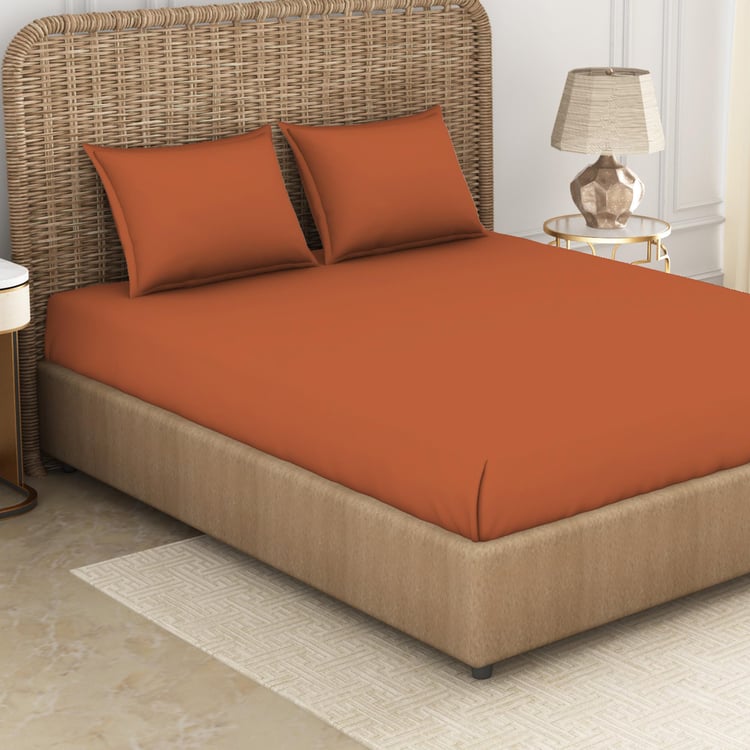 SPACES Essentials Brown Solid Cotton Super Kind Bedsheet Set - 274x274cm - 3Pcs