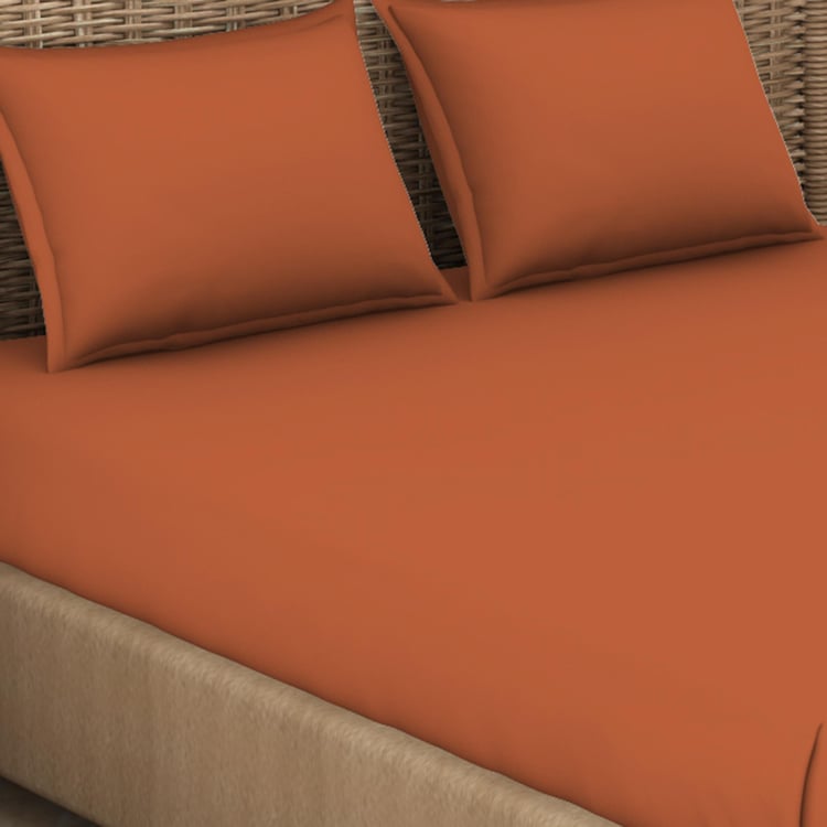 SPACES Essentials Brown Solid Cotton Super Kind Bedsheet Set - 274x274cm - 3Pcs