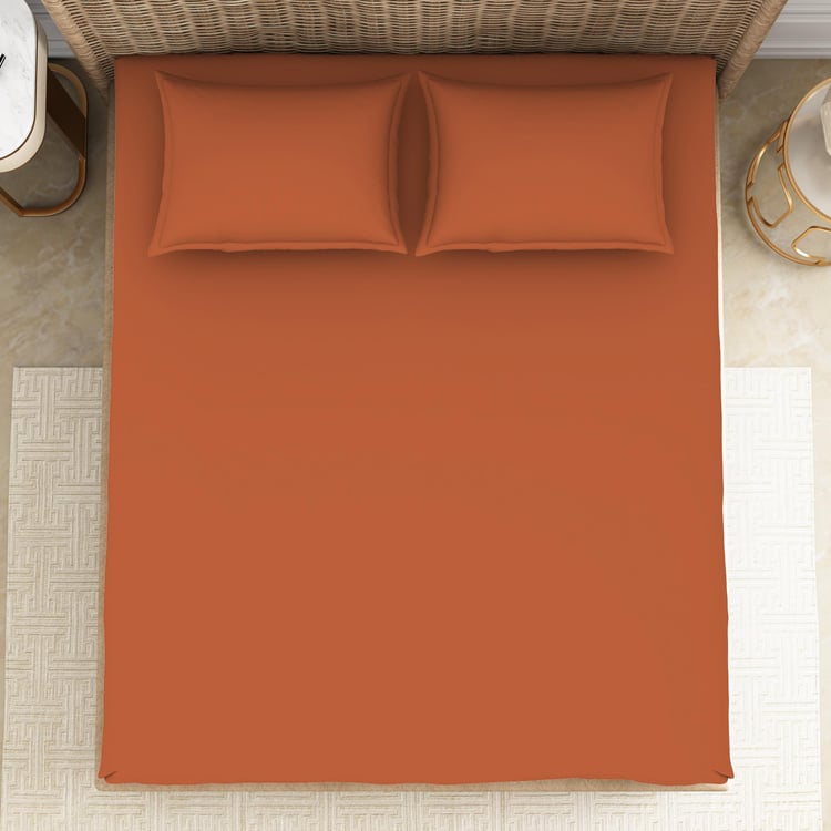 SPACES Essentials Brown Solid Cotton Super Kind Bedsheet Set - 274x274cm - 3Pcs