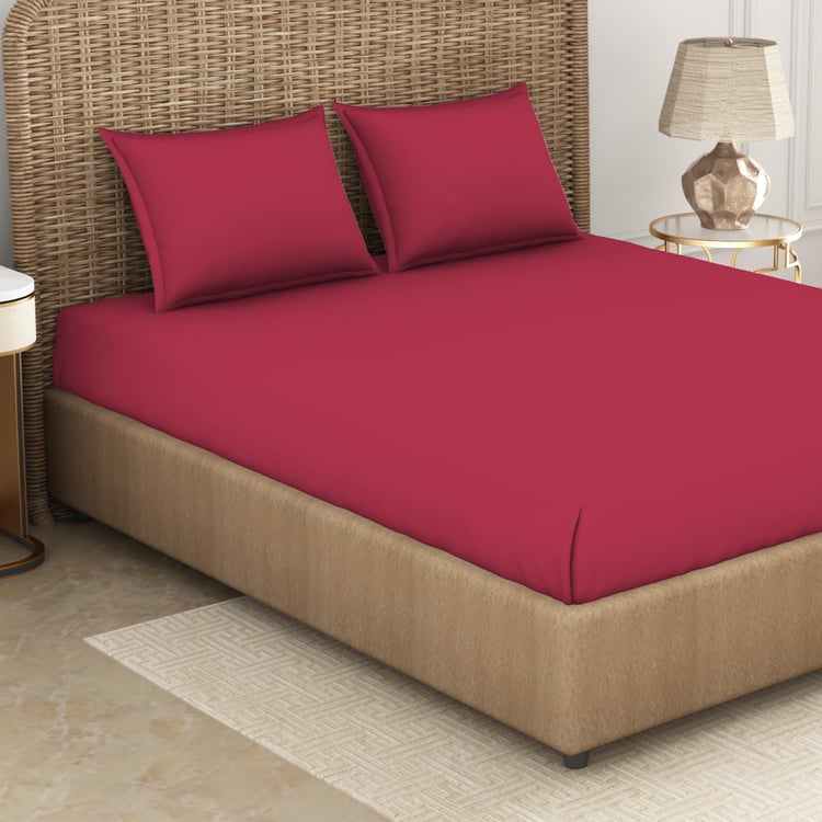 SPACES Essentials Red Solid Cotton Super King Bedsheet Set - 274x274cm - 3Pcs