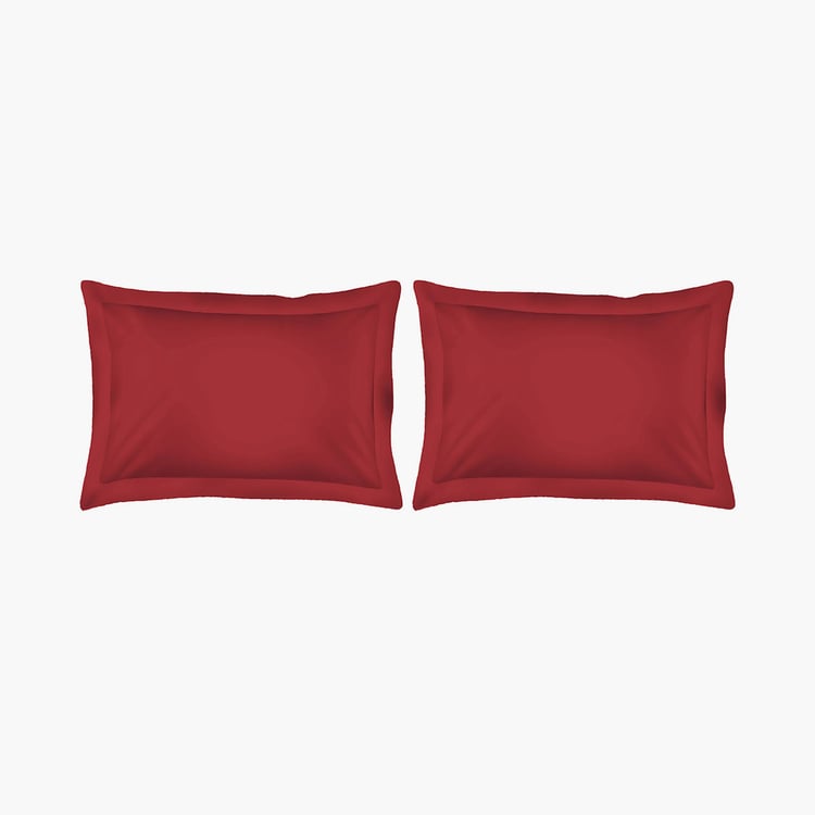 LAYERS Be Bold Red Cotton Super King Double Bedsheet Set - 274x274cm - 3Pcs