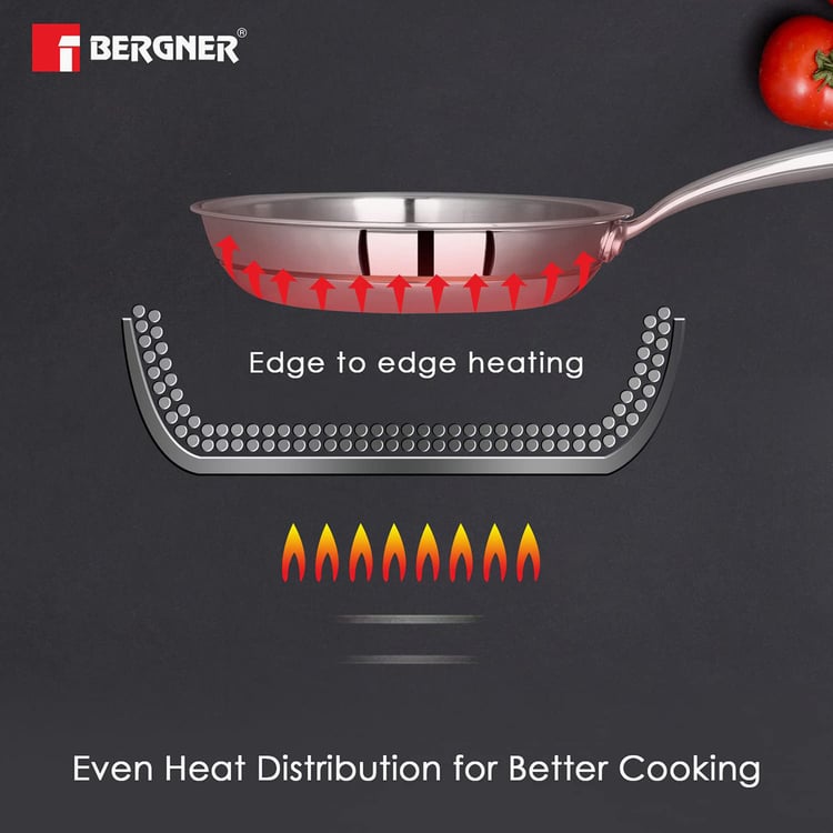 BERGNER Argent 5cx Silver Stainless Steel Frying Pan - 20cm